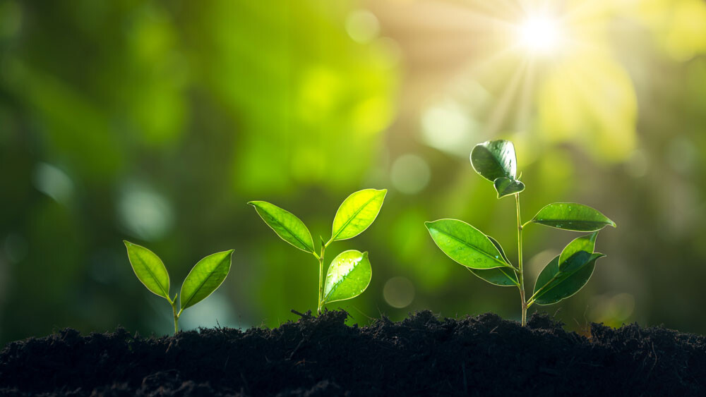 Cabinet expertise comptable {{localite_seo}}