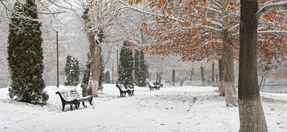 Fermeture de votre cabinet d'expertise comptable pendant les congés d'hiver 