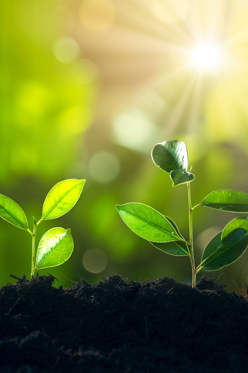 Cabinet expertise comptable à Beaune